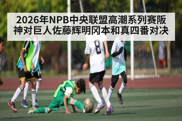 2026年NPB中央联盟高潮系列赛阪神对巨人佐藤辉明冈本和真四番对决